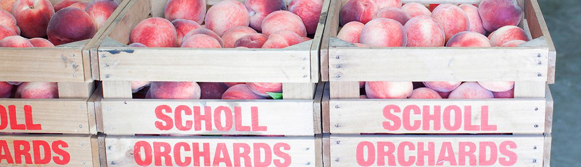 Scholl Orchards