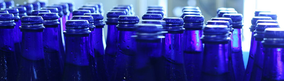 Saratoga Spring Water Company