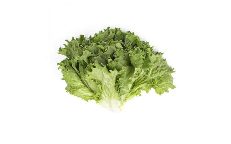 Organic Green Leaf Lettuce
