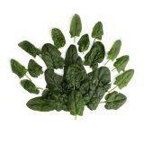 Organic Bloomsdale Spinach