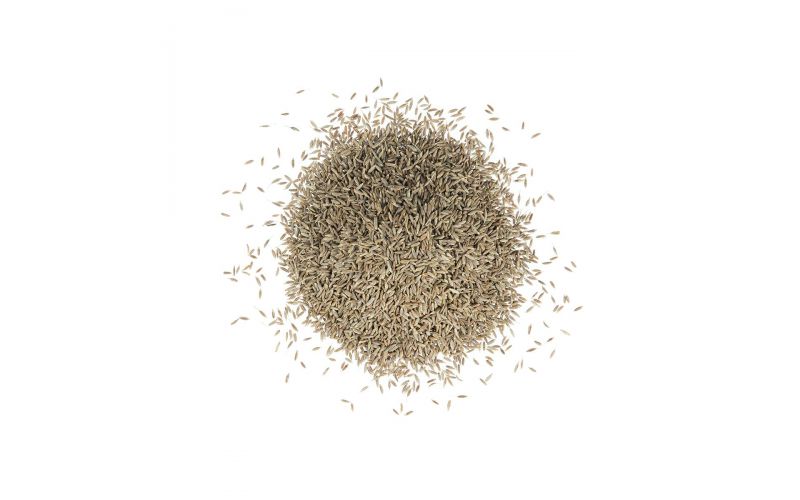 Cumin Seeds