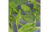 Organic Triple Washed Spinach