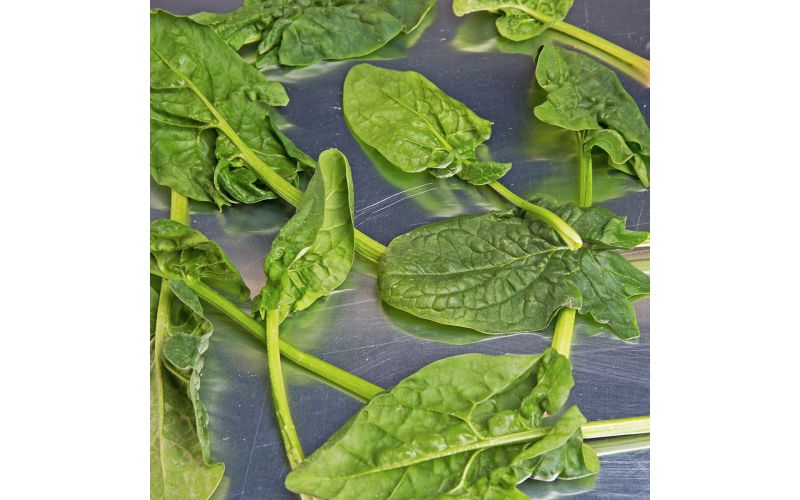 Organic Triple Washed Spinach