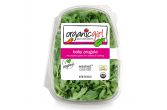 Organic Baby Arugula