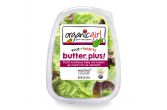 Butter Plus Lettuce