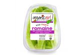 True Romaine Hearts