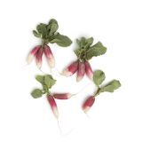 Organic French Breakfast Radishes