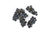 Organic Concord Grapes