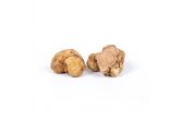 Fresh White Truffle Medium Size