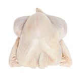 ABF Organic Whole Turkey 20-24 LB