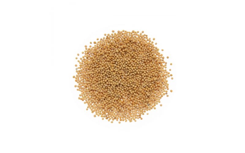 Yellow Mustard Seeds