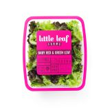 Baby Red & Green Leaf