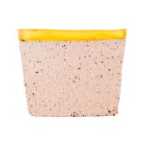 Chicken Mousse with Truffles