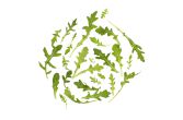 Organic Baby Arugula