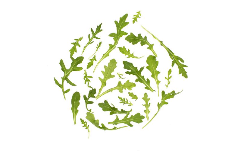 Organic Baby Arugula
