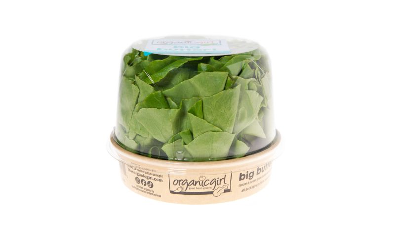 Organic Butter Lettuce