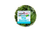 Organic Butter Lettuce