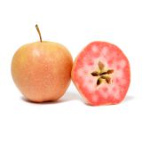 Yellow Kissabel Apples