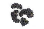 Organic Purple Mars Grapes
